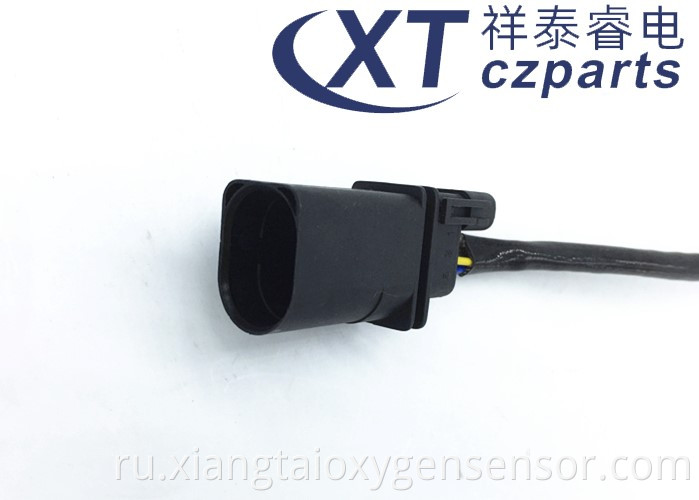 A6 Oxygen Sensor